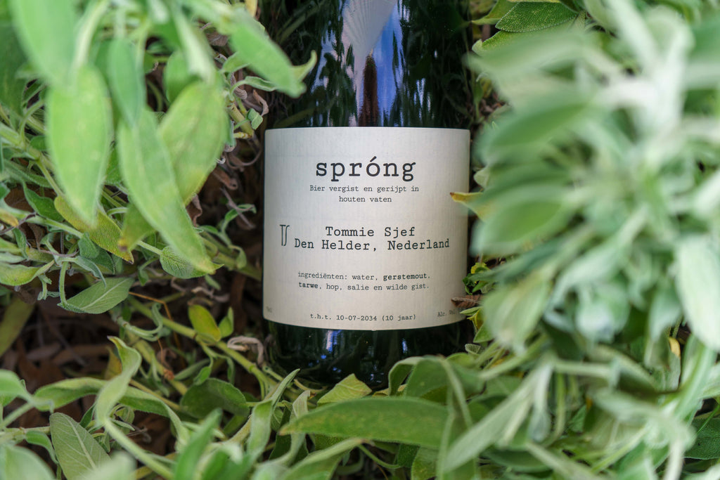 Spróng